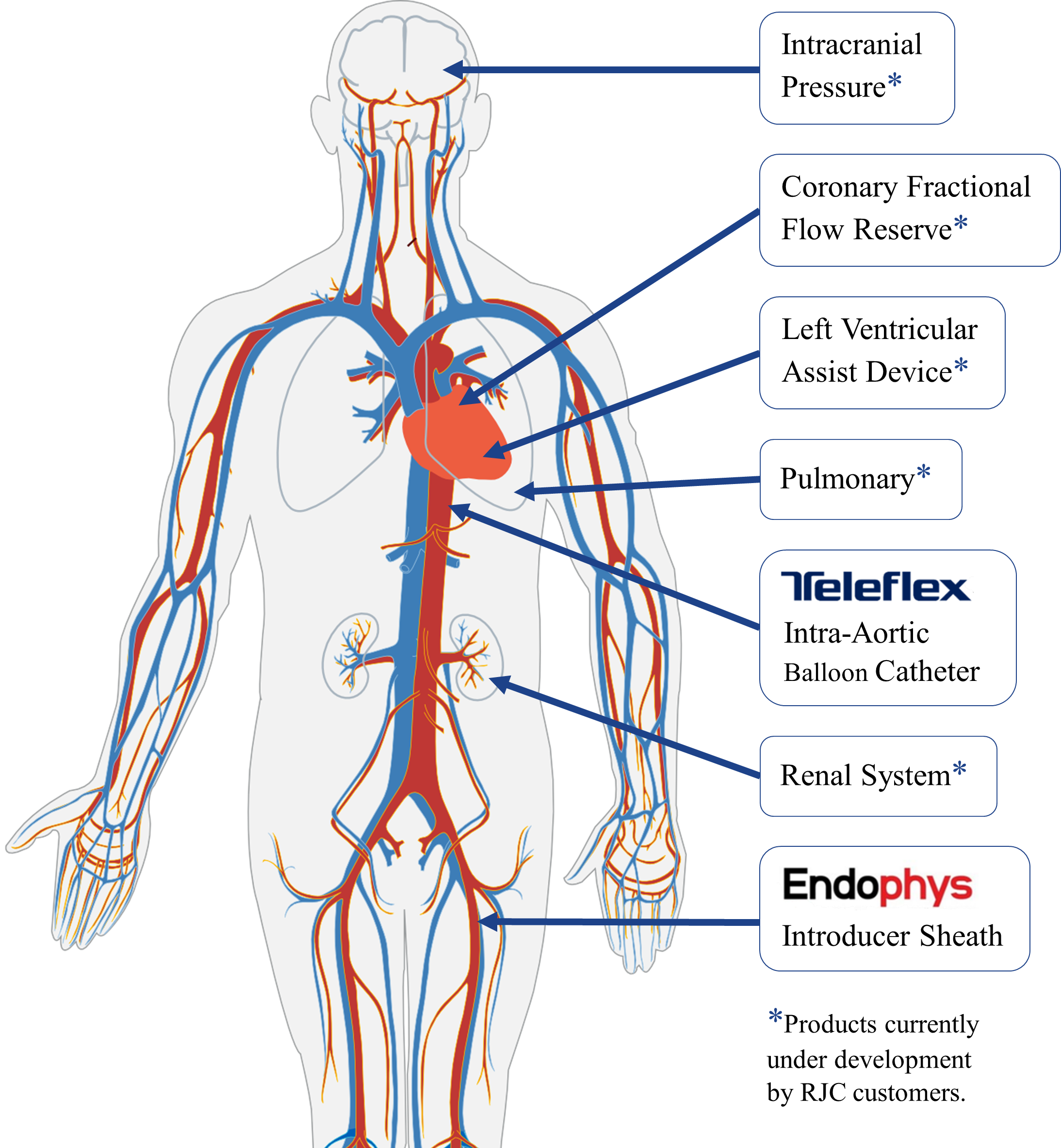 Pressure sensor applications in the human body.